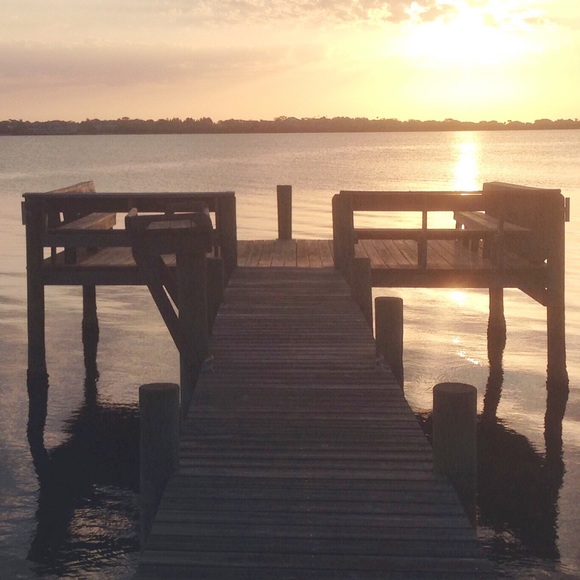 Meet your Posher, Danya - Picture 1 of 1